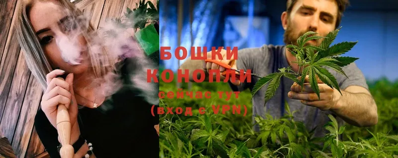 магазин  наркотиков  Петропавловск-Камчатский  Бошки Шишки OG Kush 